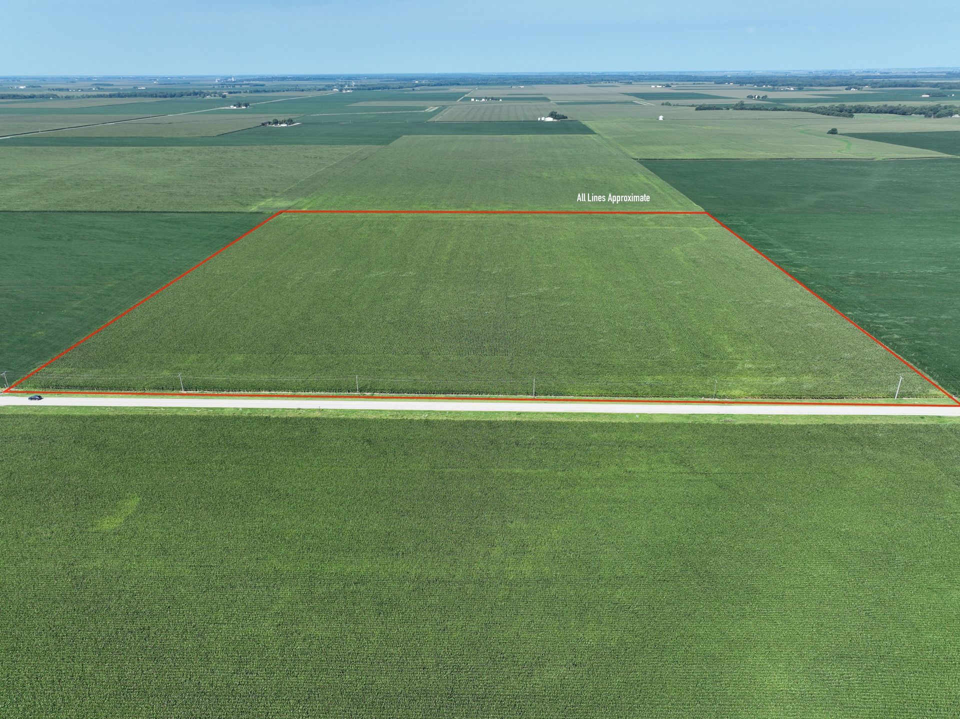 Aerial view of green farmland divided into rectangular crop fields with dirt roads between them