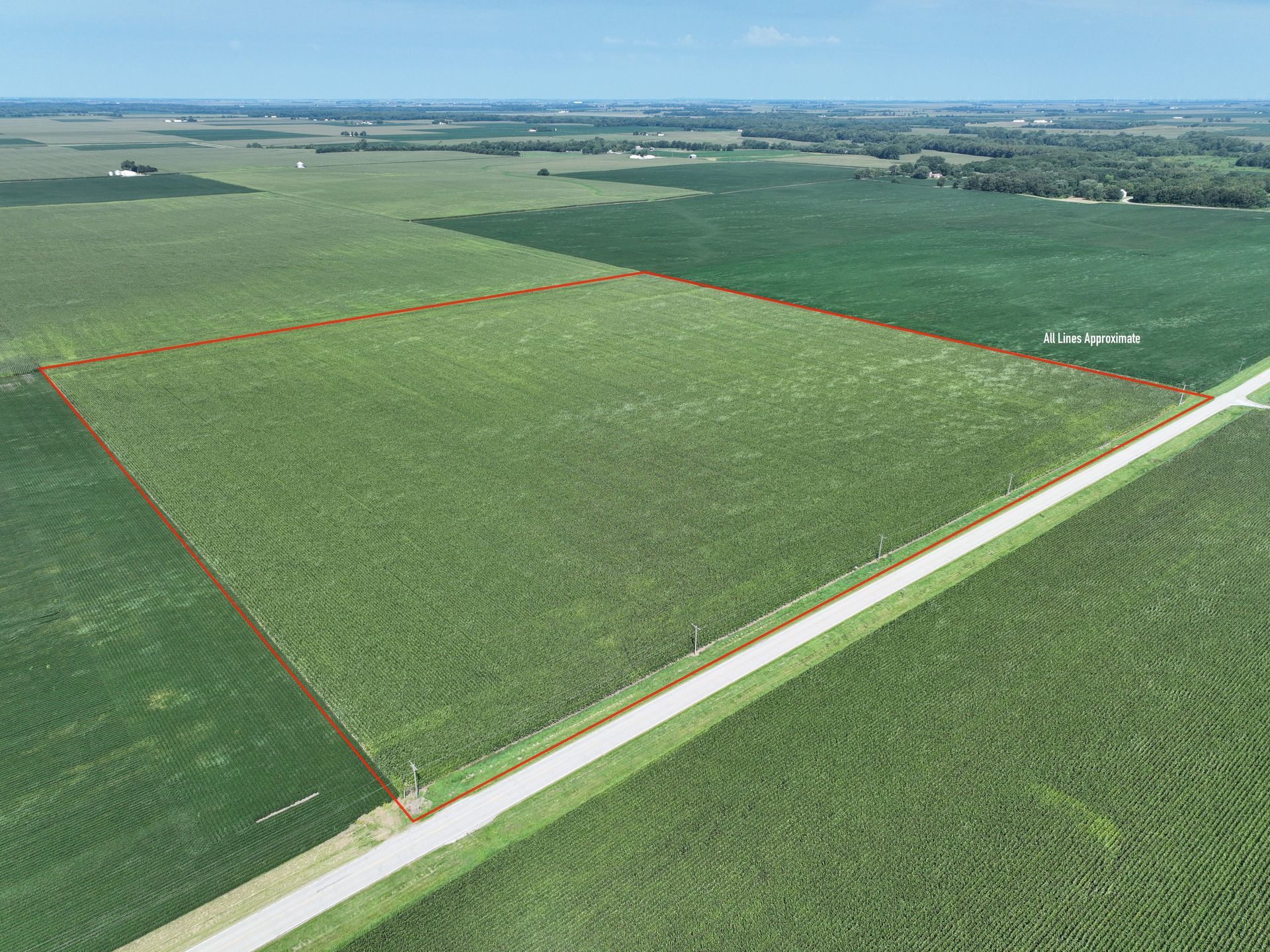Aerial view of a green agricultural field outlined by red boundary lines beside a rural road.