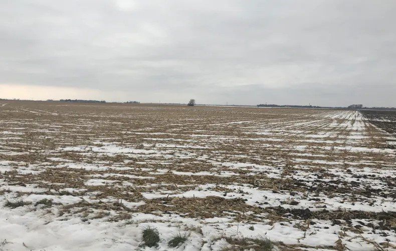 Snow-dusted flat farmland under a cloudy gray sky, with a distant tree line.