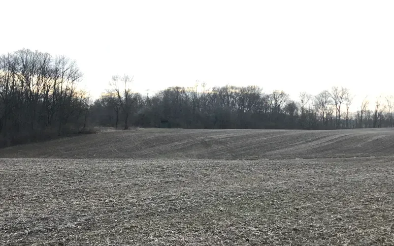 Bare plowed field under a pale sky, with a line of leafless trees in the distance.
