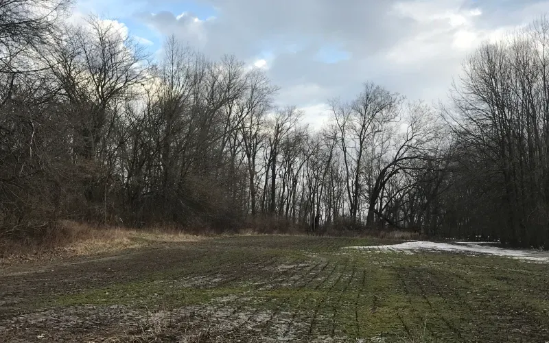 Bare winter field bordered by leafless trees under a cloudy sky