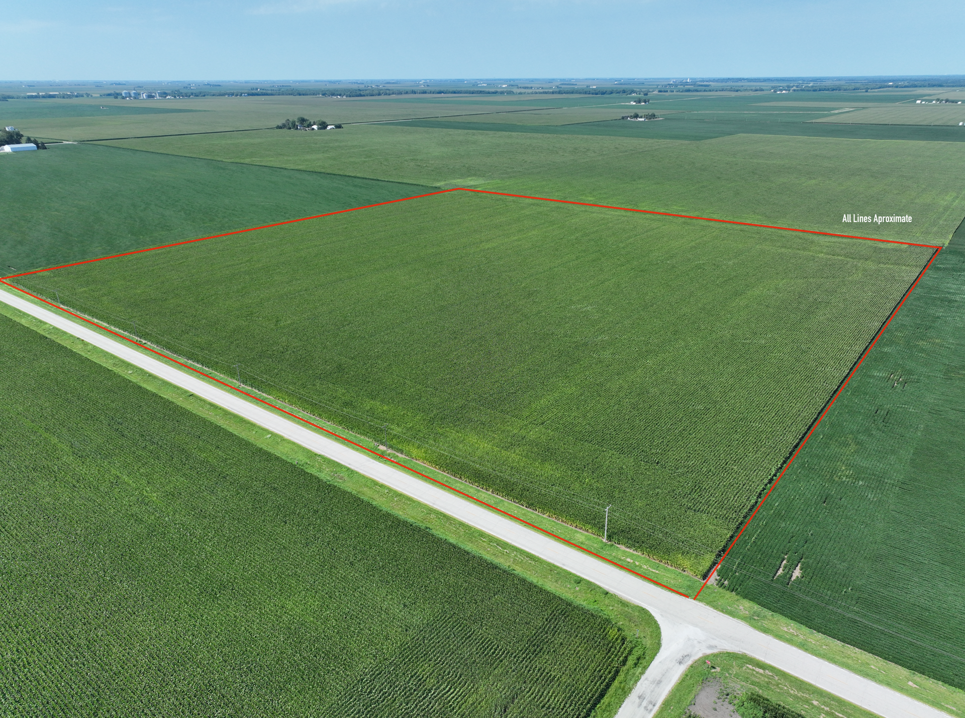 Aerial view of green farmland outlined by red boundary lines beside a paved road.