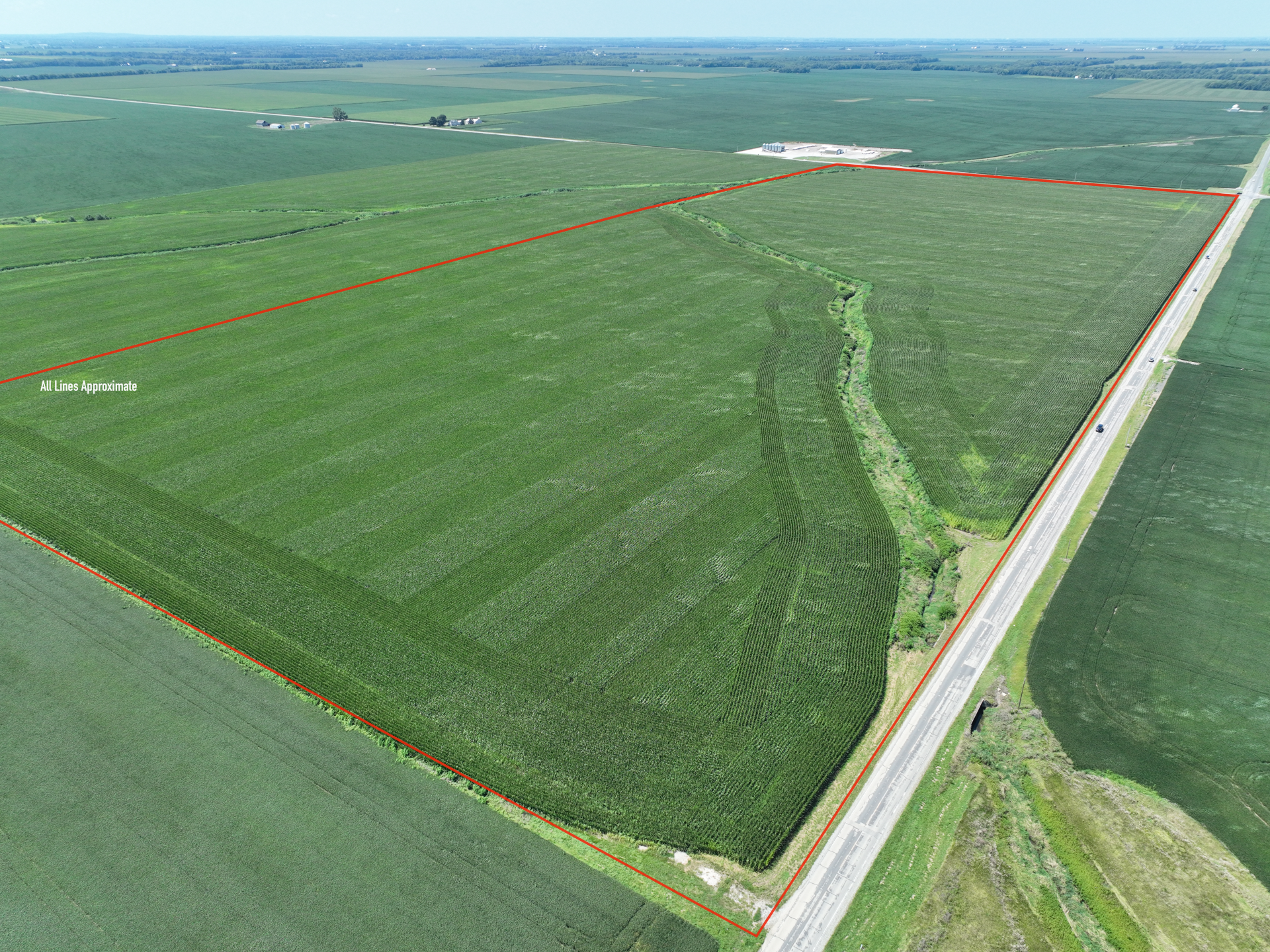 Aerial view of a large green crop field bordered by a road and distant farmland
