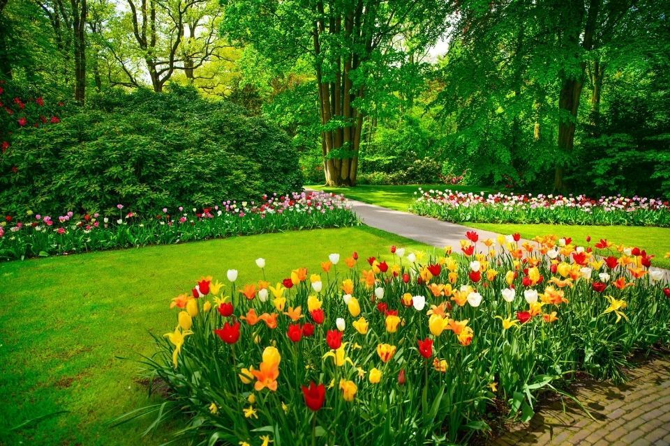 Progettazione giardini