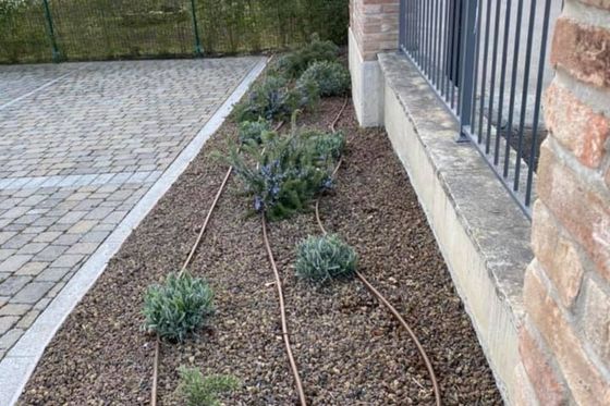 Irrigatore per piante