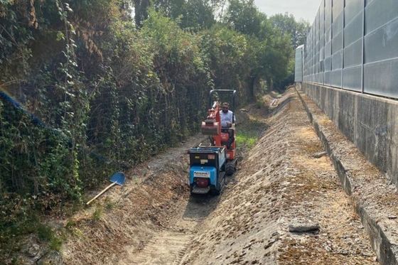manutenzione del verde a Reggio nell'Emilia