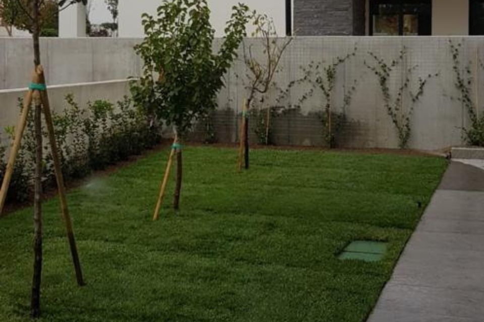Giardino con alberi