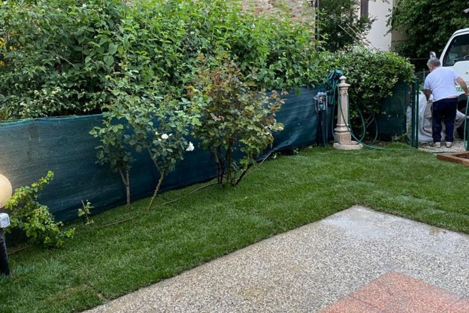 Giardino con piante