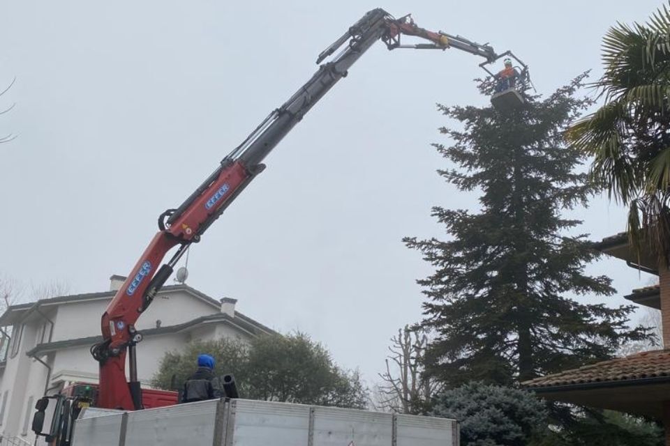 Piattaforma aerea per potatura