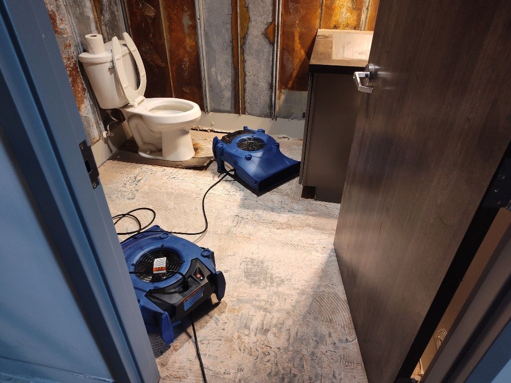 A bathroom with a toilet and a fan on the floor.