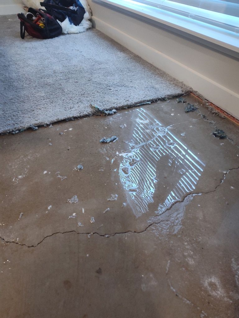 A room with a carpet on the floor and water on the floor.