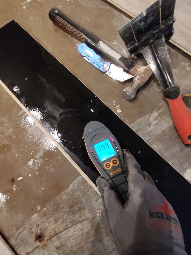 A person wearing a glove is holding a digital thermometer with a display that reads 99 degrees