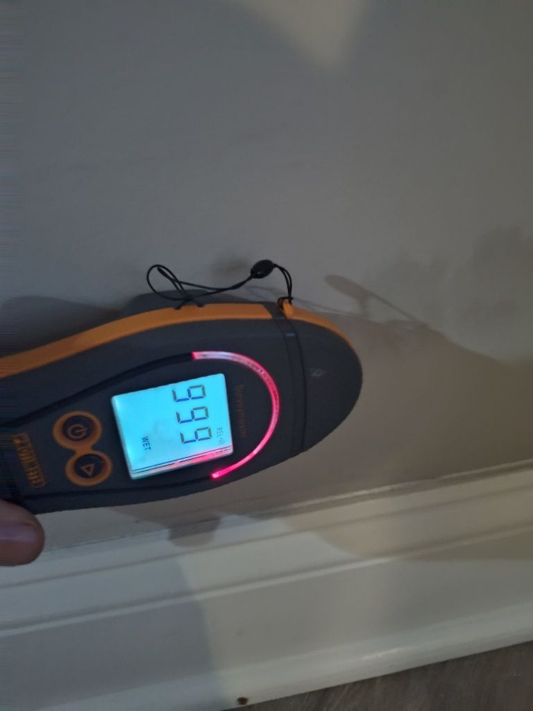 A person is using a digital thermometer to measure humidity on a wall.