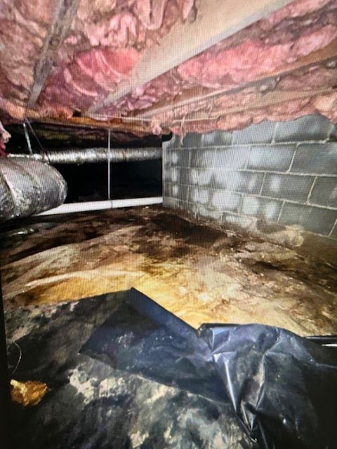 A dirty basement with pink insulation and a black tarp on the floor.