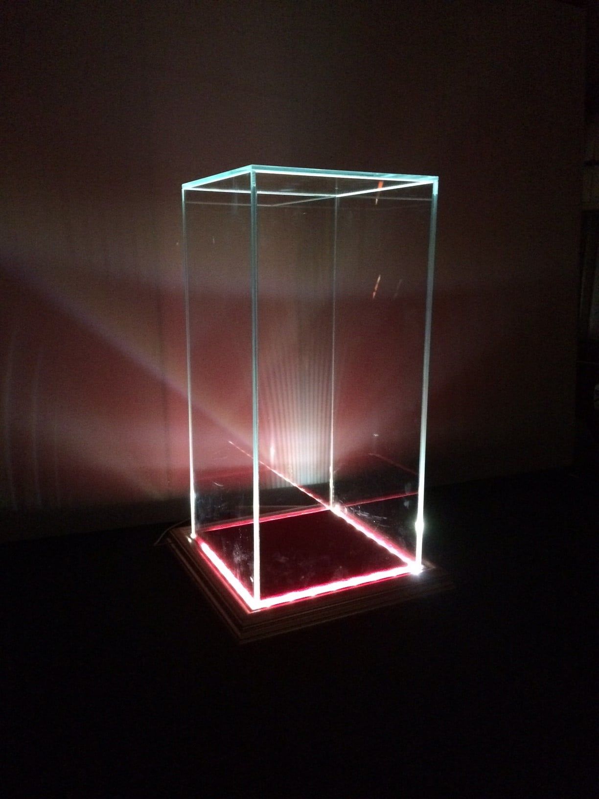 teca illuminata