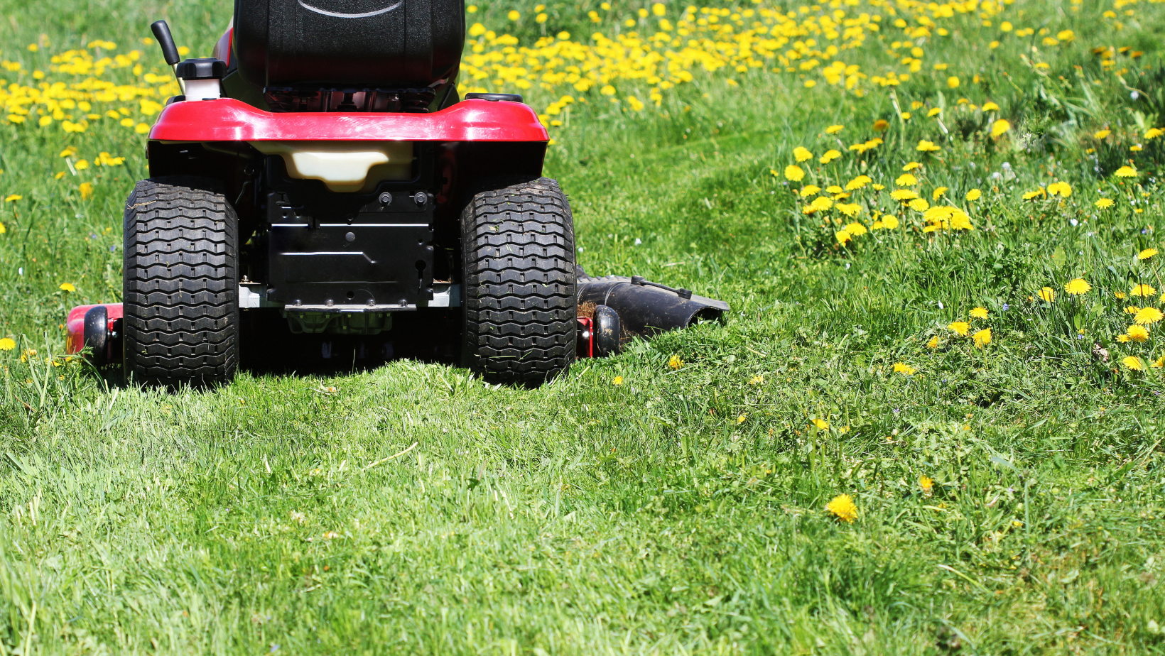 Lawn Maintenance