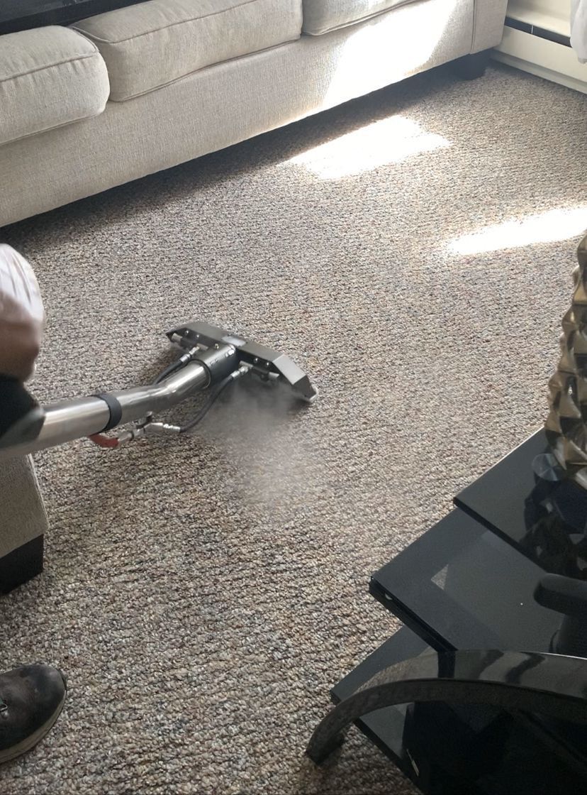 Vacuum cleaning carpet beside a beige couch in a sunlit living room
