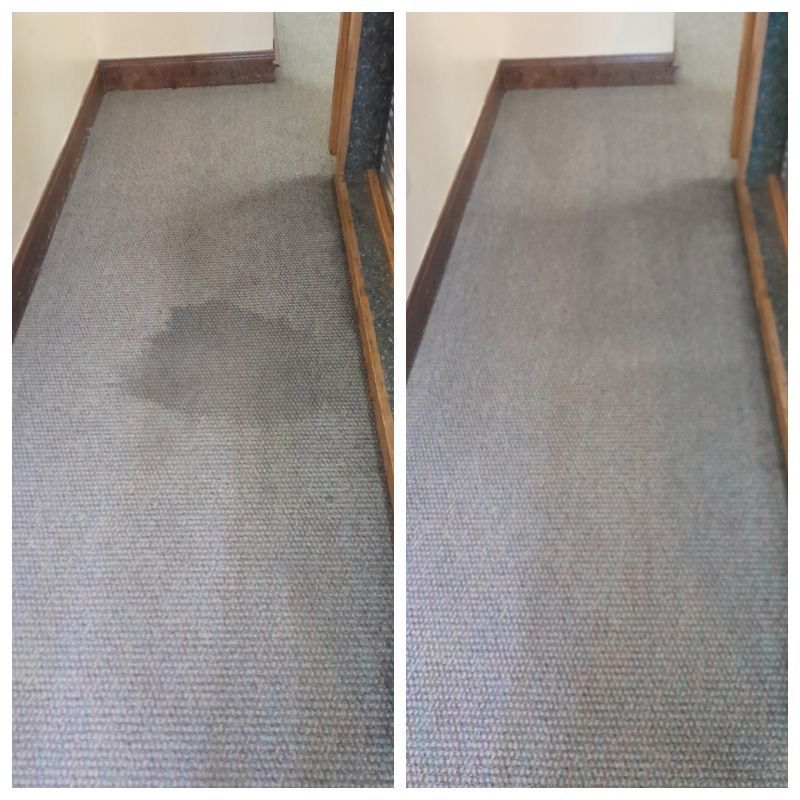 Carpeted stair landing with a dark stain or shadow on the left side.