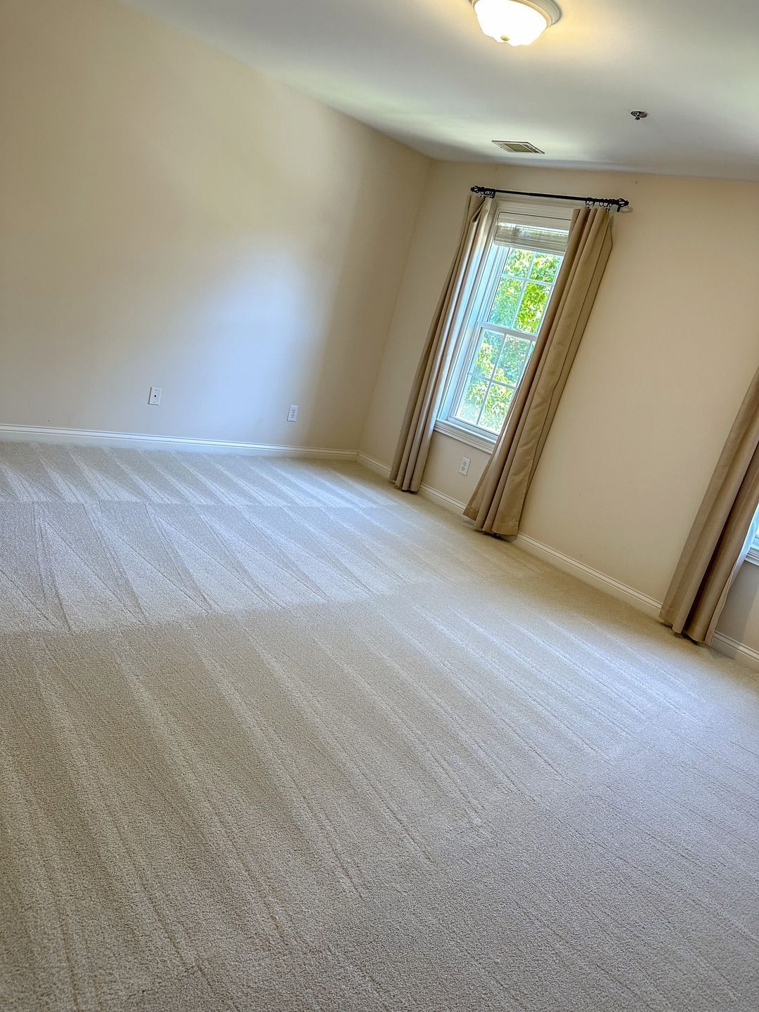 Empty beige bedroom with carpet, window with curtains, and ceiling lights