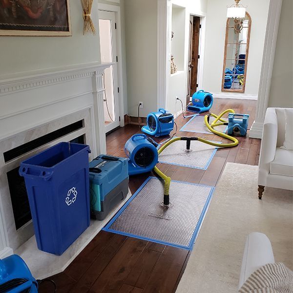 Living room with blue carpet-cleaning equipment, hoses, and mats on hardwood floors