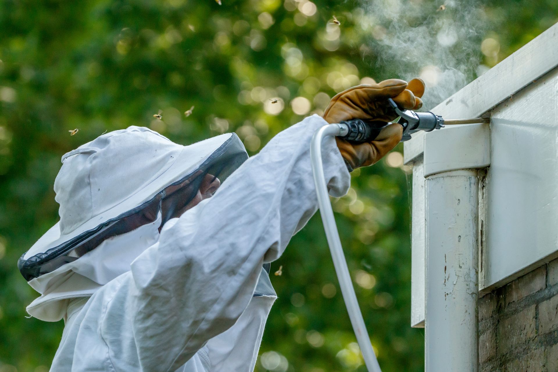 Person in bee suit spraying insect repellent near a building, with bees flying around. Person in bee suit spraying insect repellent near a building, with bees flying around.