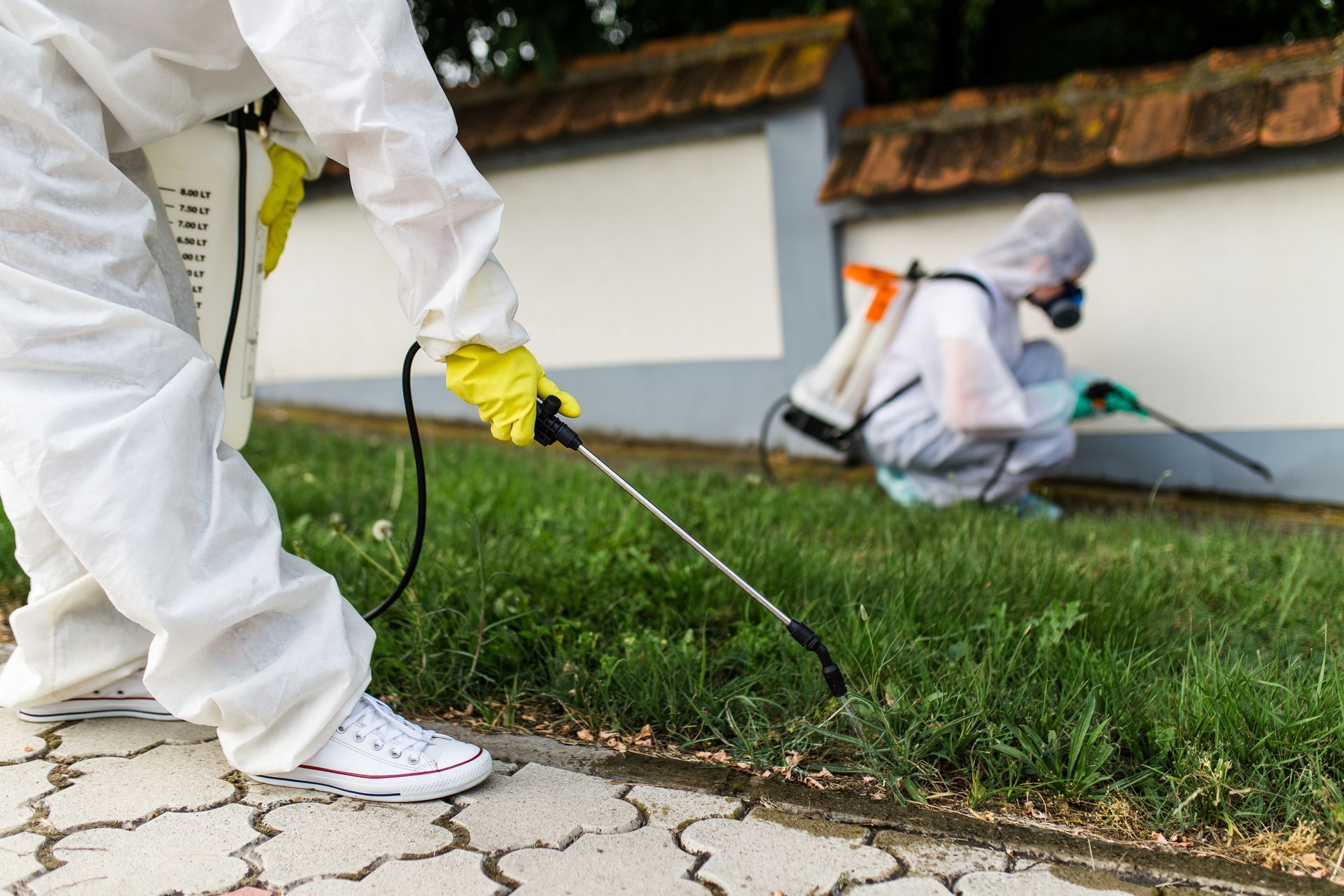Two people in protective suits spraying insecticide on grass next to a paved area. Two people in protective suits spraying insecticide on grass next to a paved area.