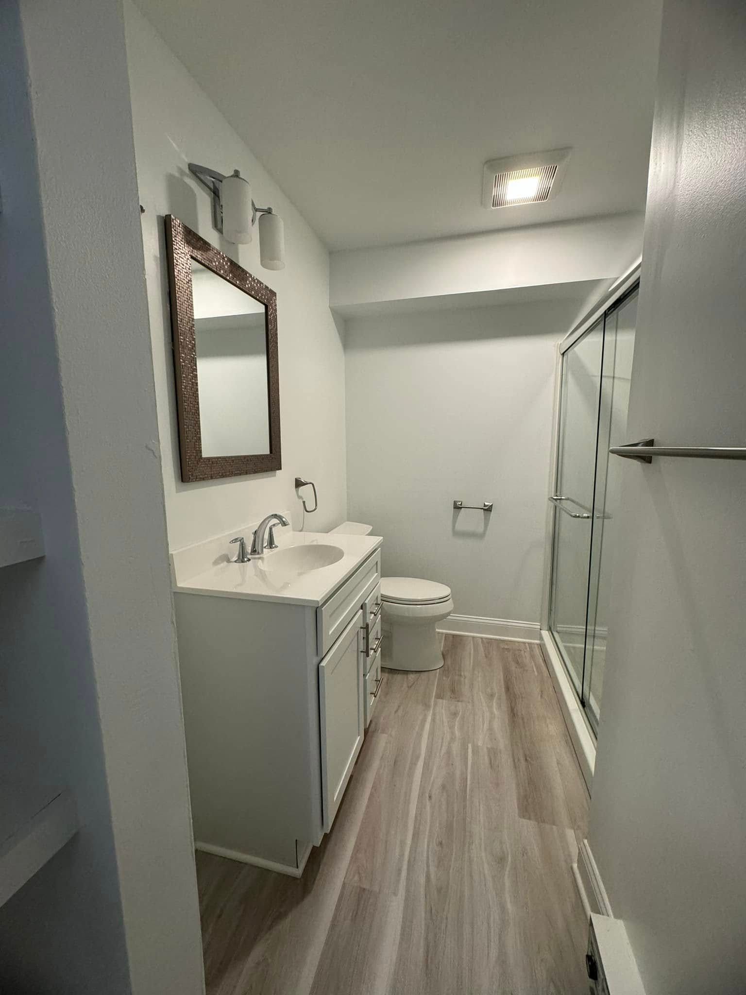 Narrow bathroom with white vanity, mirror, toilet, glass shower, and wood-look floor.