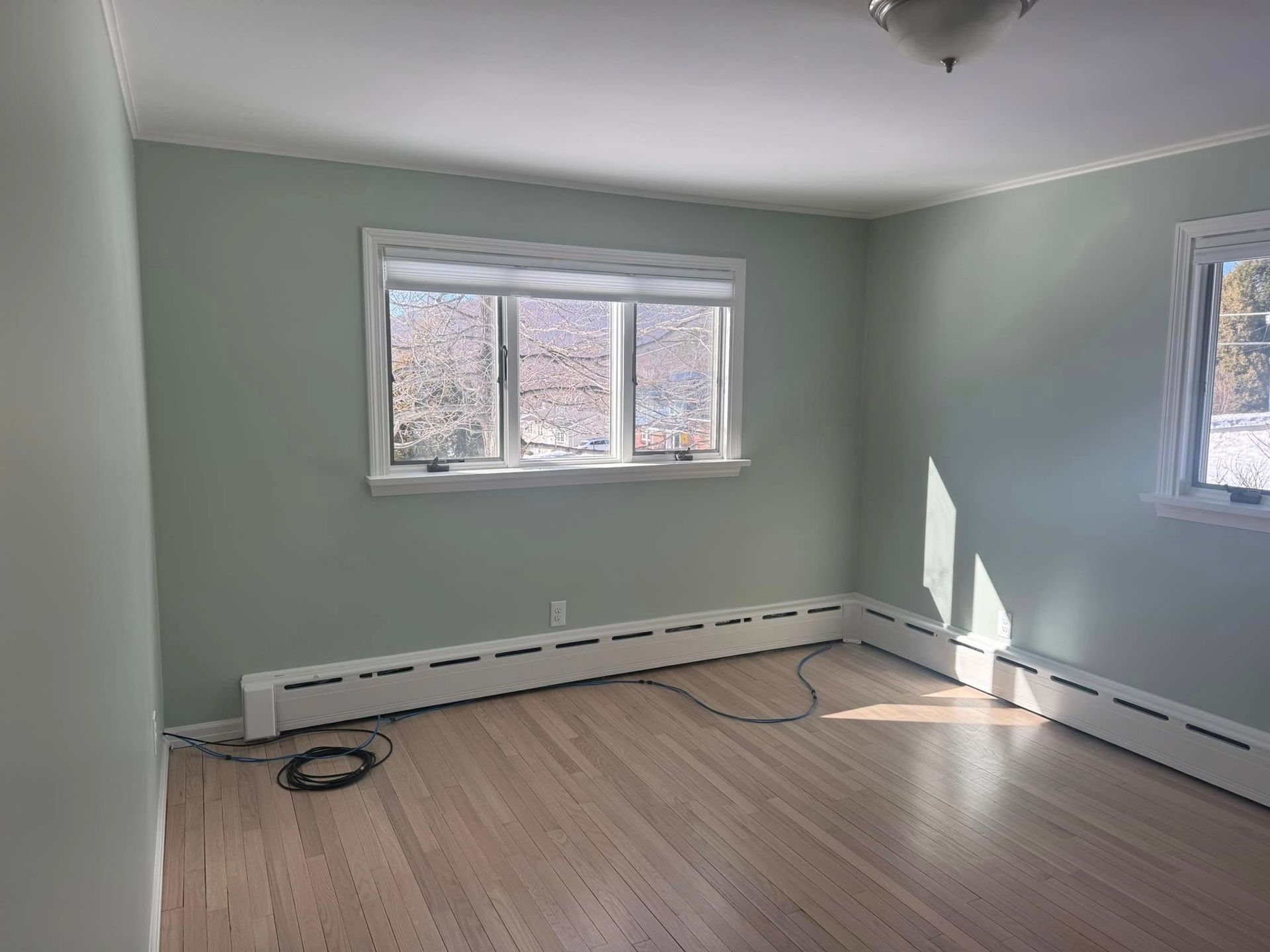 Empty room with pale green walls, wood floor, and two windows letting in sunlight