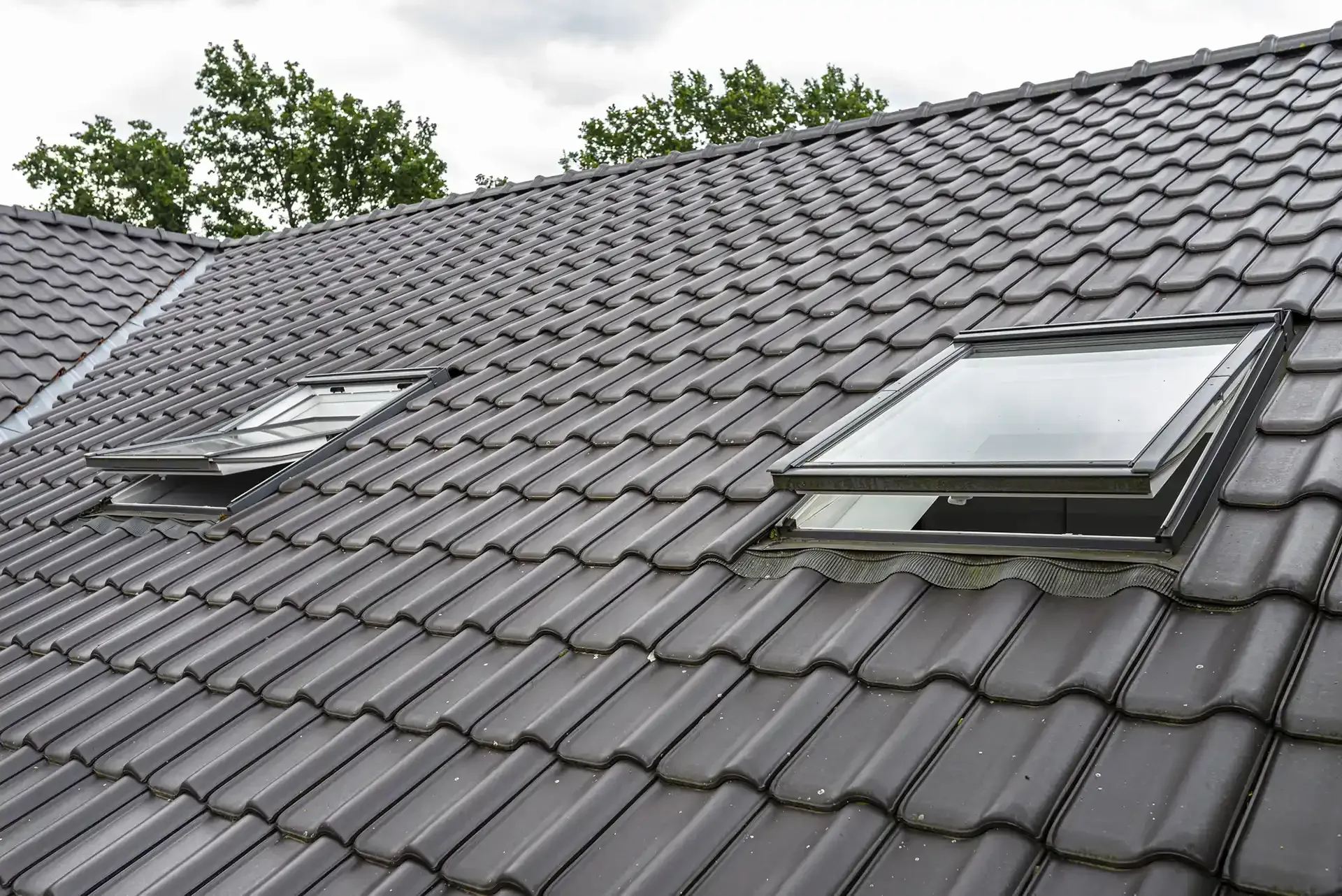 A roof with two skylights on it and trees in the background