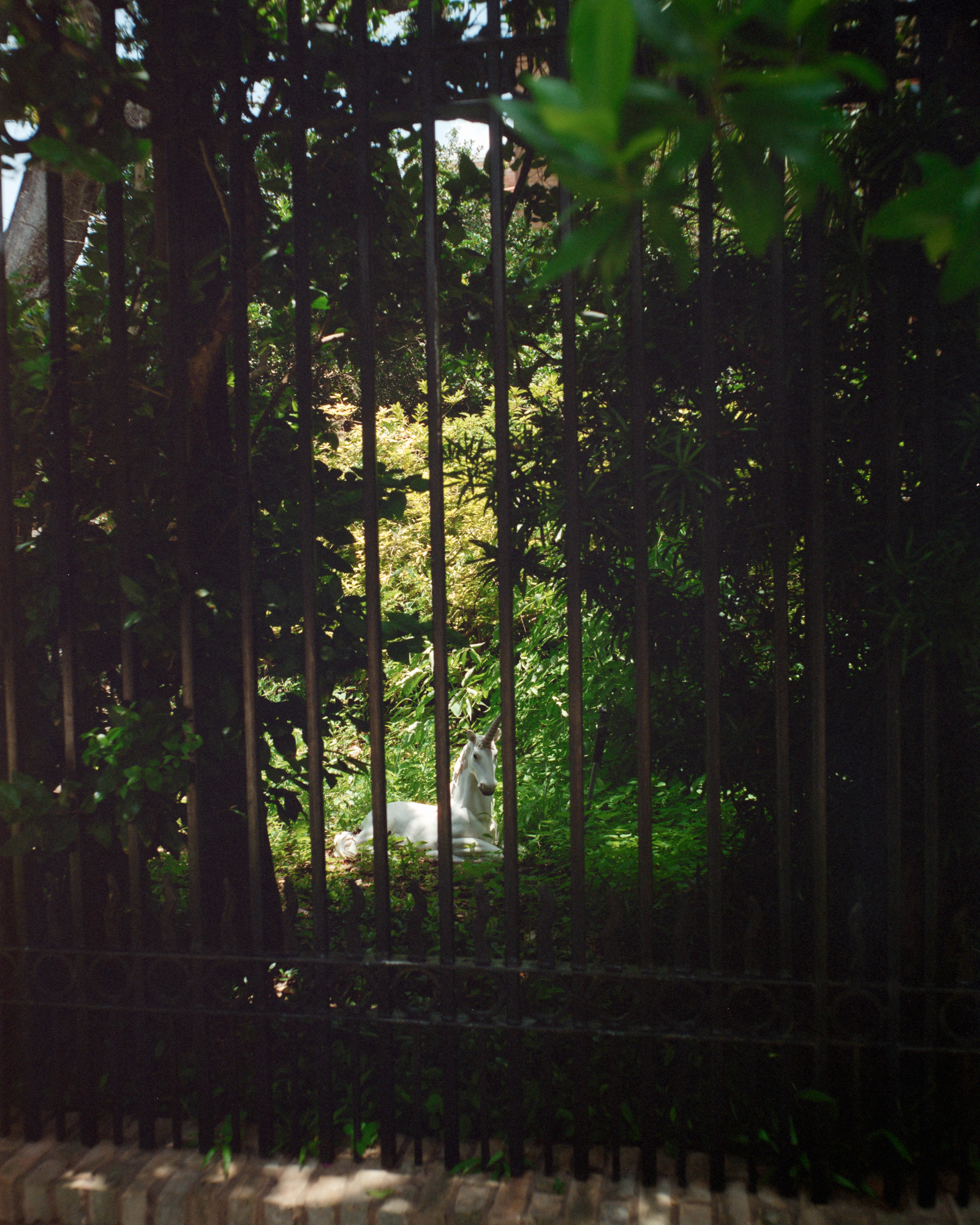 A white unicorn statue rests in a leafy, sunlit garden behind a dark metal picket fence.
