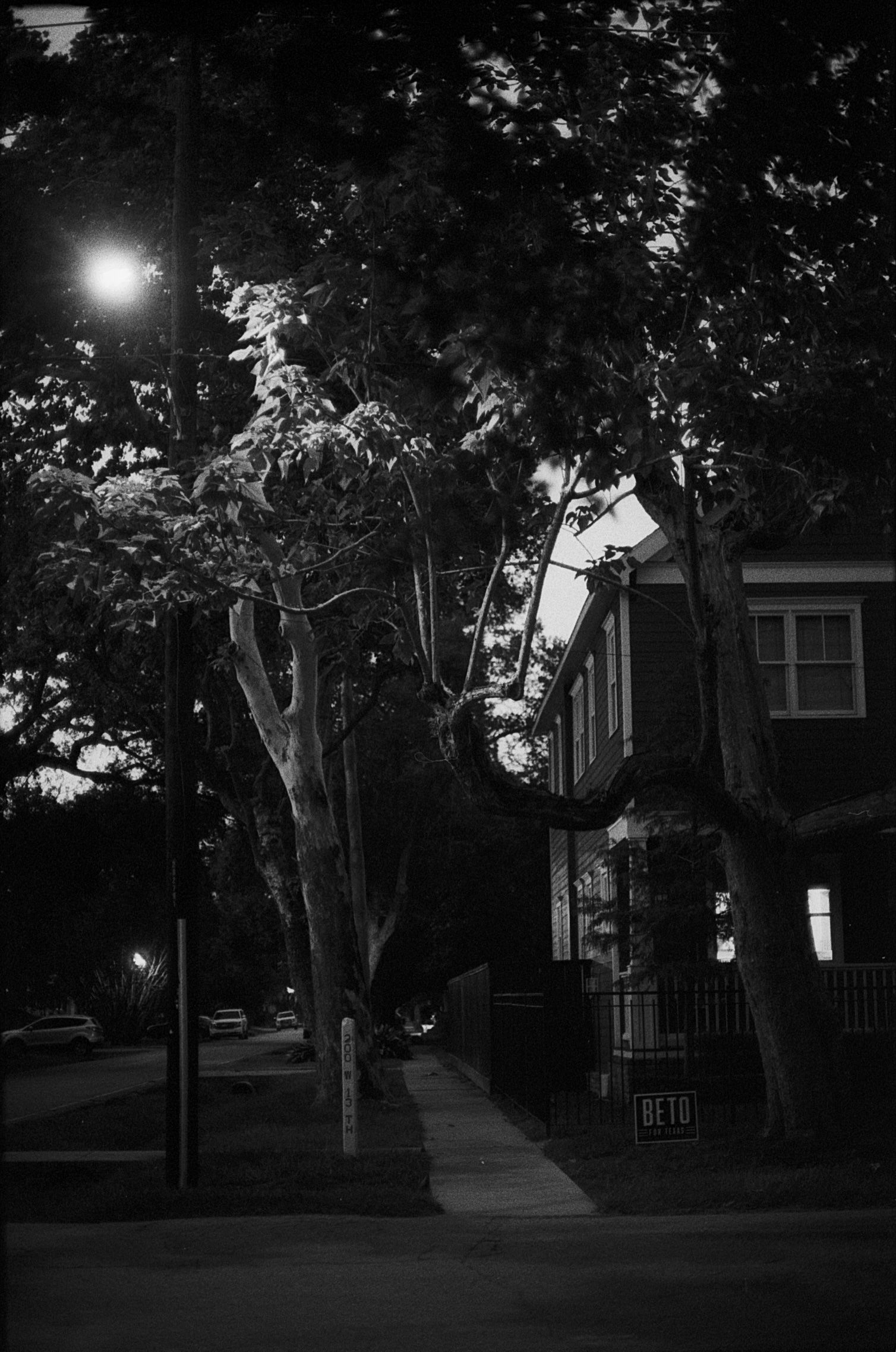 Night street with large trees, a sidewalk, and a house lit by a bright window near a streetlight. Shot on medium format film by Madison Avery Somerville. Developed and printed in a traditional wet darkroom by the photographer.