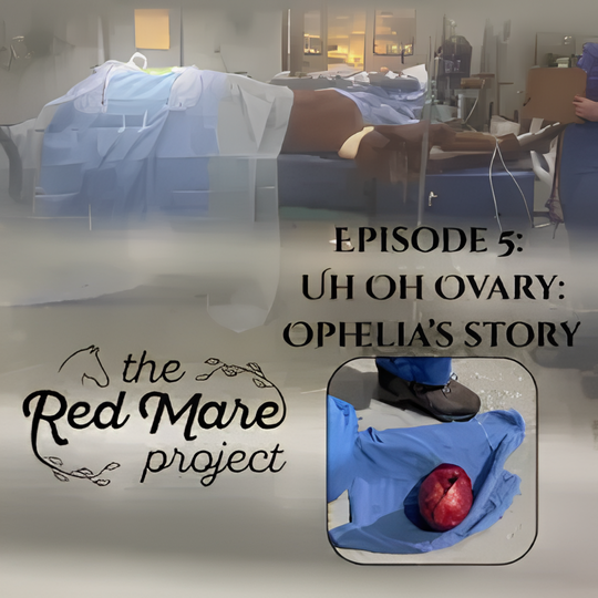 Red Mare project poster: episode 5, “Uh Oh Ovaries: Ophelia’s Story,” with horse and red object close-up