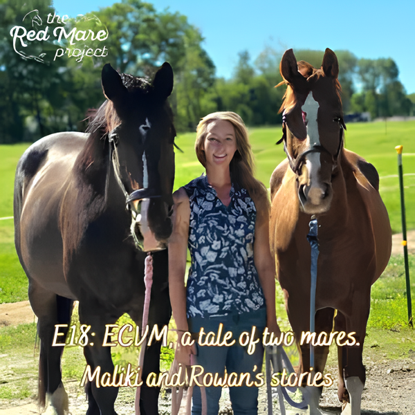 Woman stands between two horses in a sunny field; text reads “E18: ECVM: a tale of two mares” and “Maliki and Rowan’s stories.”