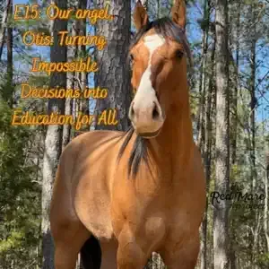 Brown horse standing in a wooded area with orange text overlay about education for all