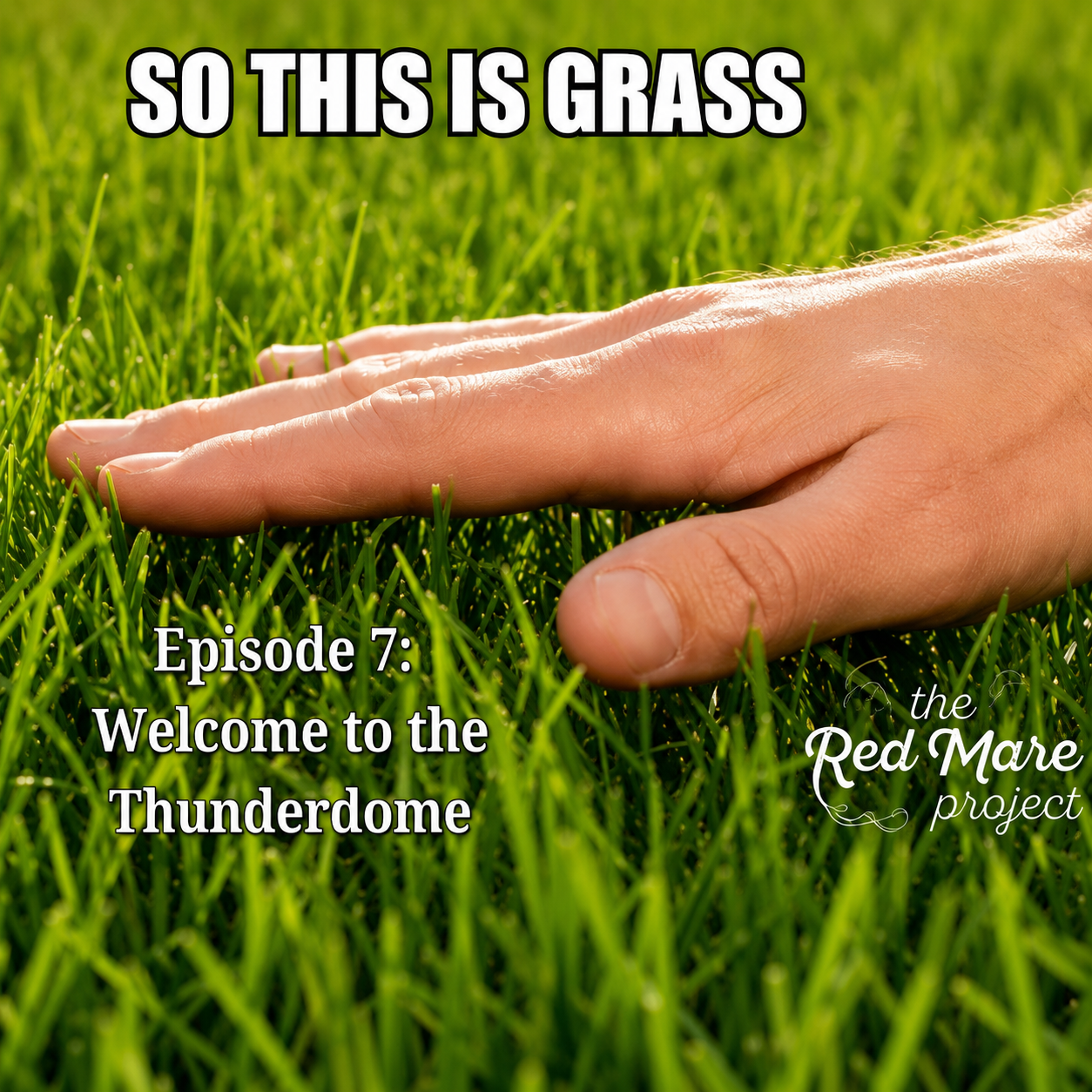 Hand on green grass with text: “So this is grass. Episode 7: Welcome to the Thunderdome.”