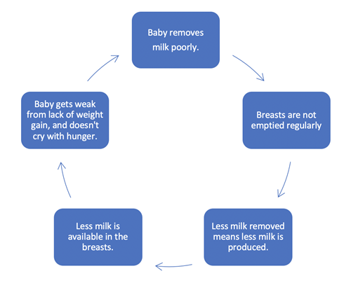 downward spiral of milk supply