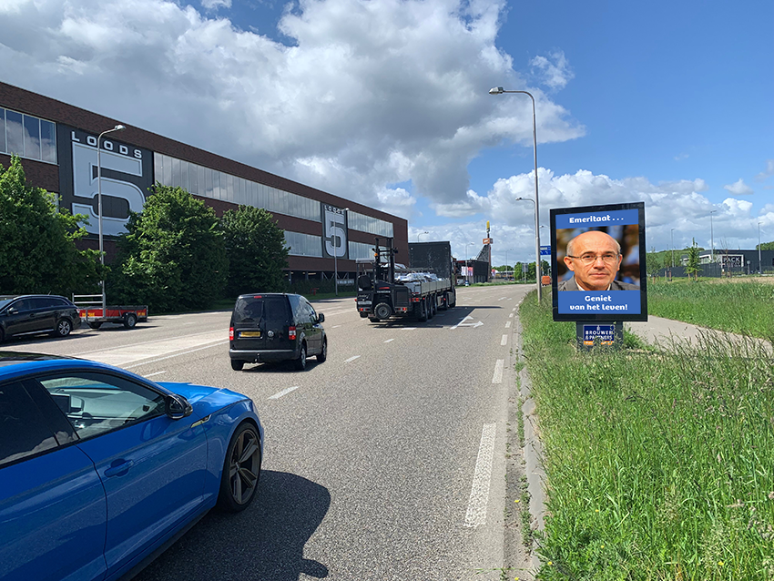 Duiven