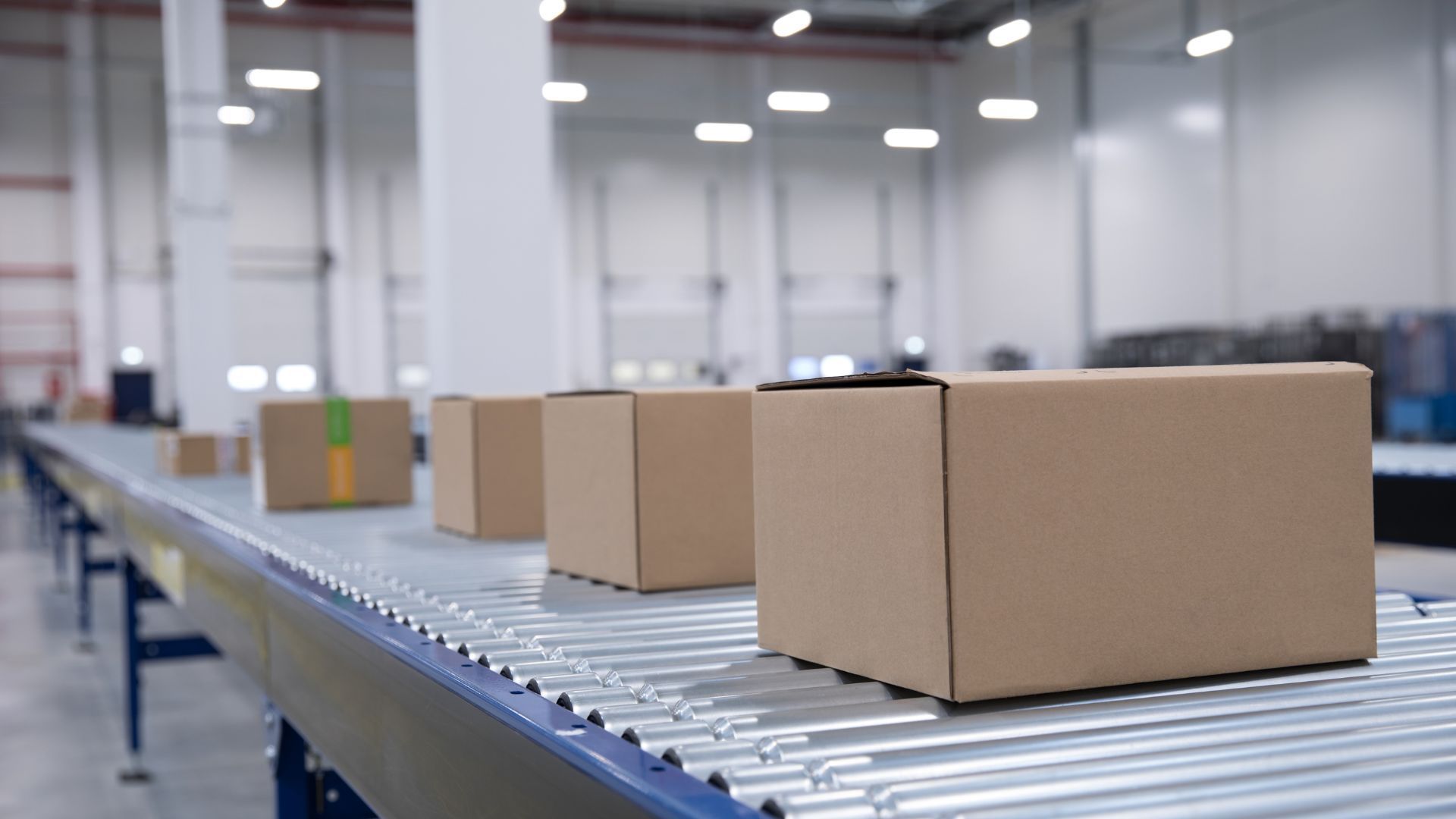 pvsconveyors