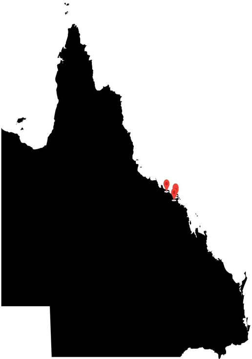 Map With Multiple Pins — Whitsunday Vogue Interiors in Hamilton Island, QLD