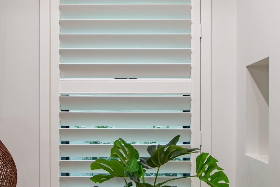 White Shutters Over a Window, With a Green Plant in Front, on a White Wall — Whitsunday Vogue Interiors in Cannonvale, QLD