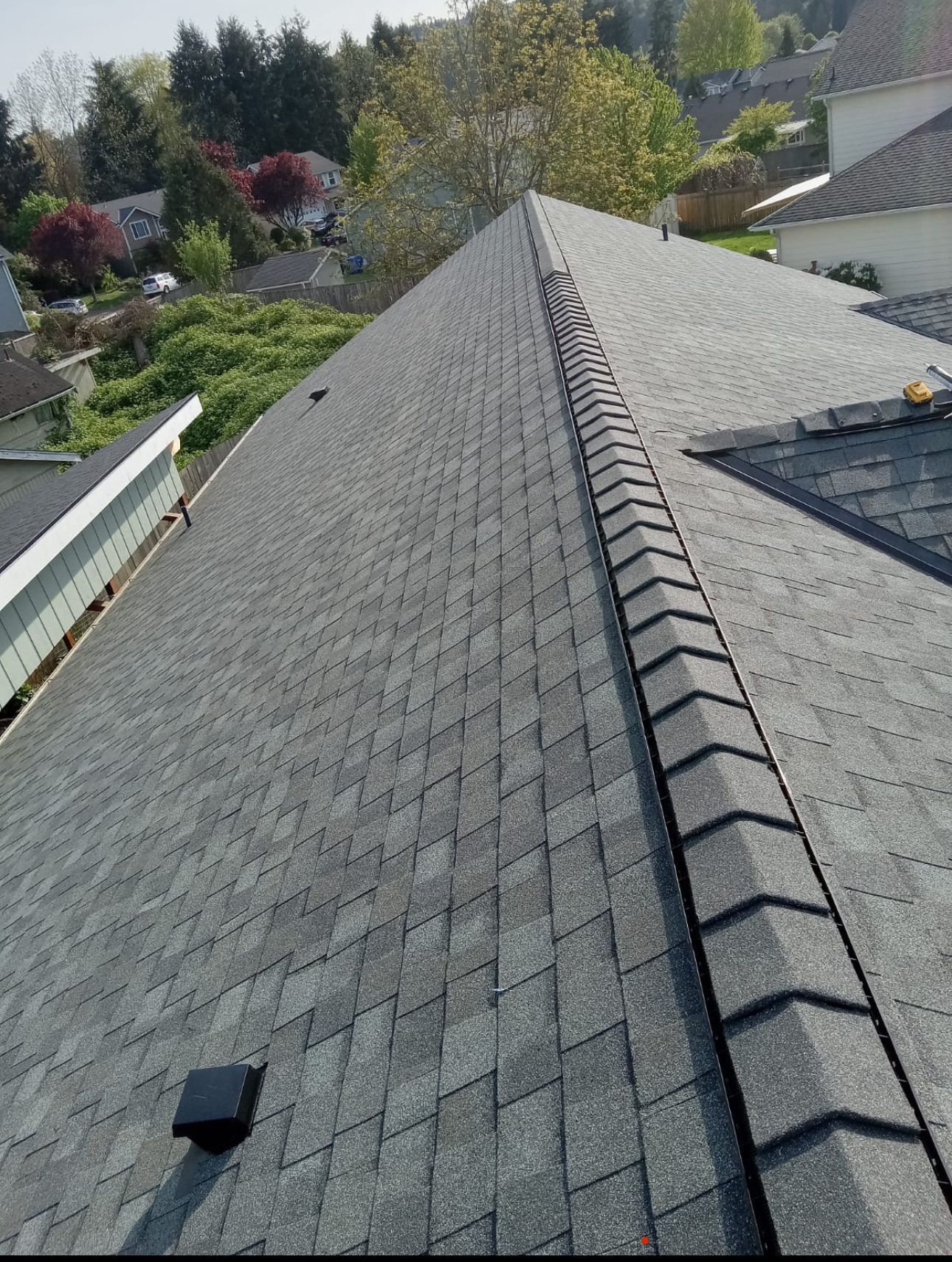 Long gray shingle roof ridge with vent, overlooking trees and houses beyond