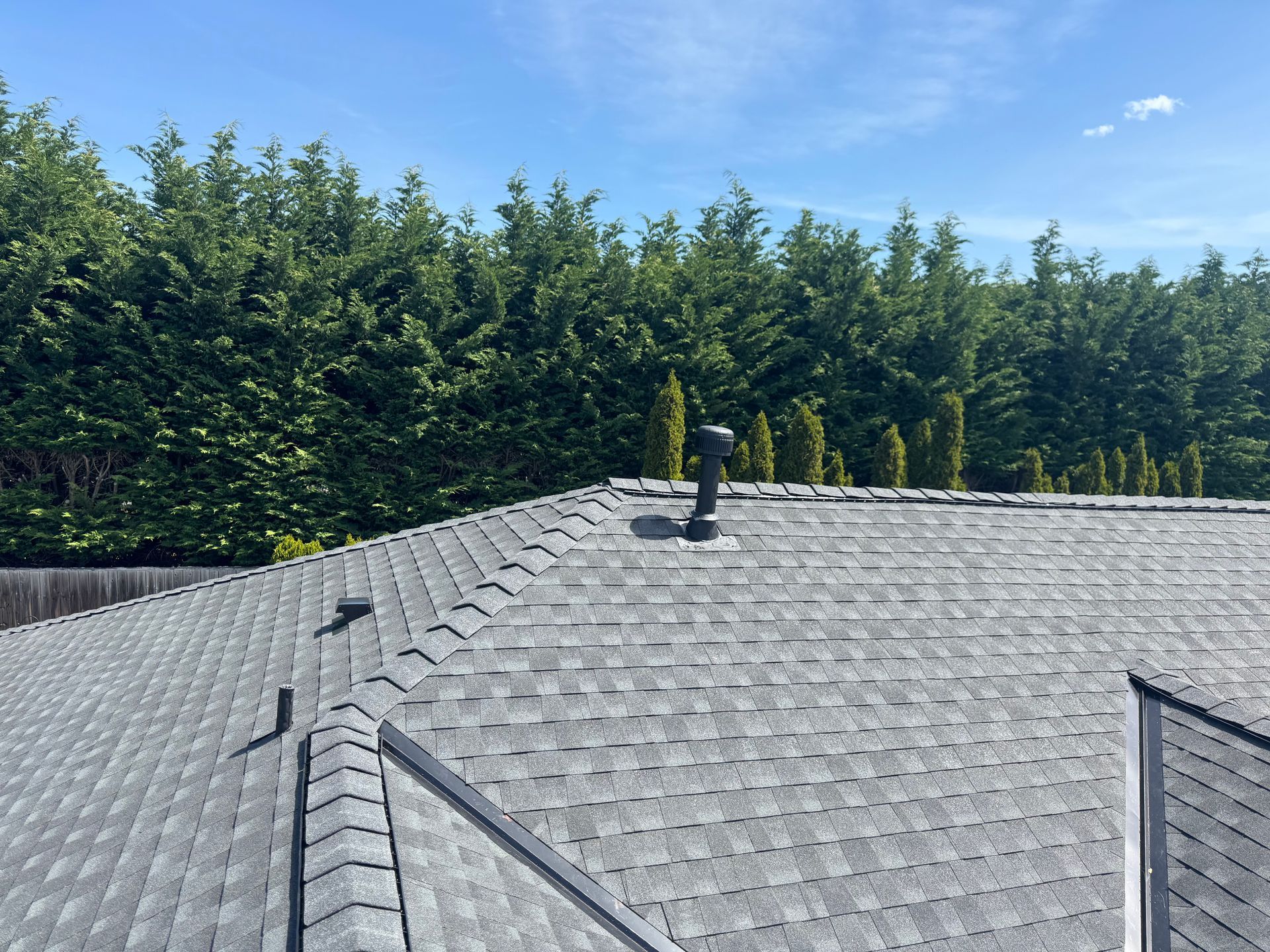 Gray shingled roof with vent, backed by tall green trees under a blue sky