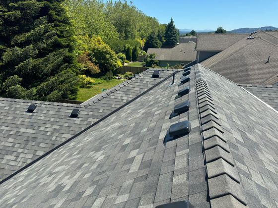 Gray shingled roof with roof vents, overlooking green trees and hills under a clear blue sky
