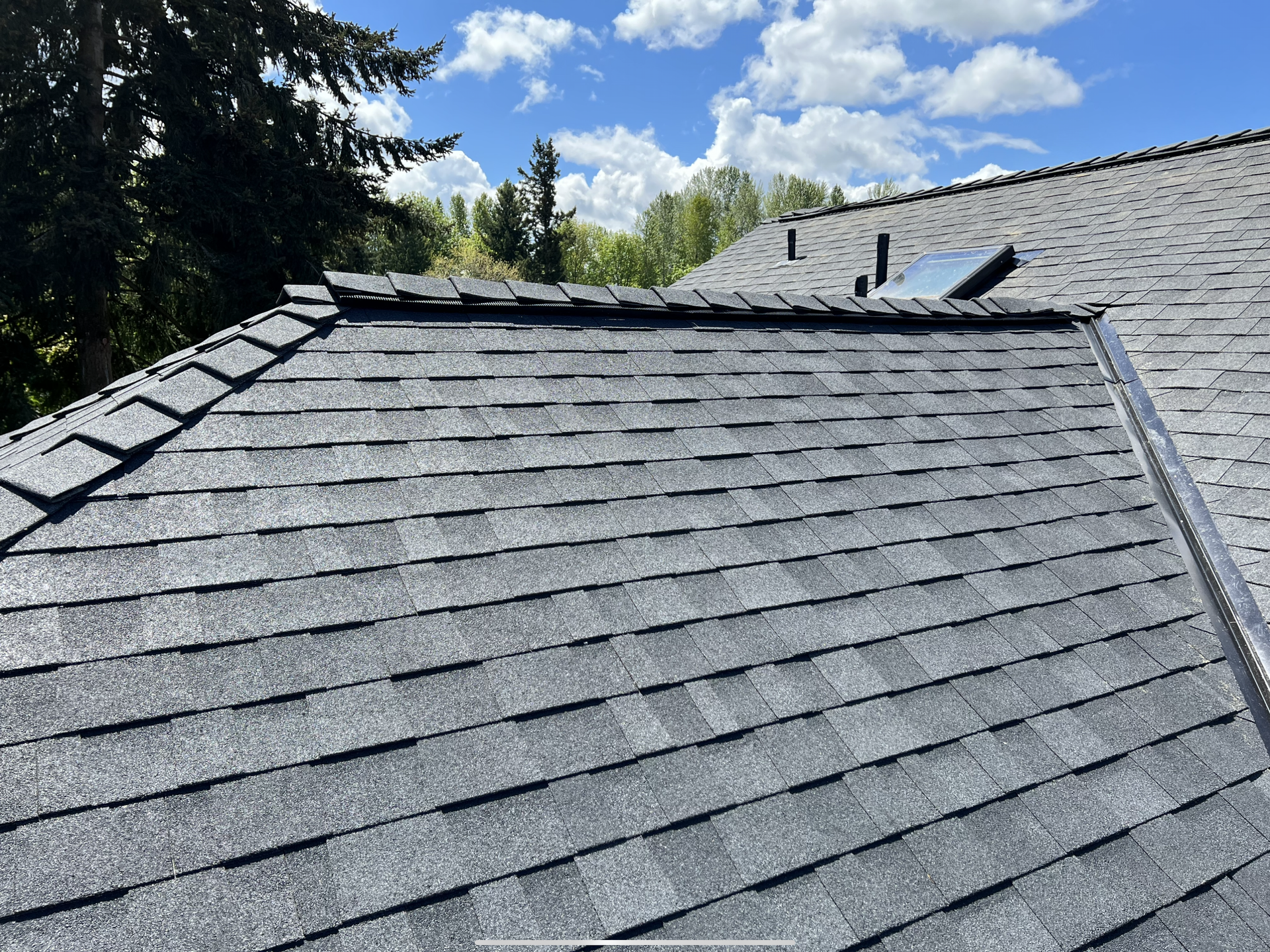 Gray shingle roof with two skylights under a clear blue sky, framed by trees and another roofline