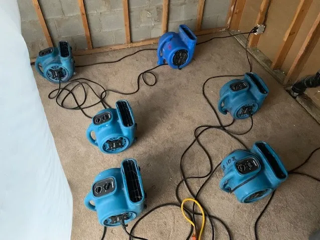 A bunch of blue fans are sitting on the floor in a room.