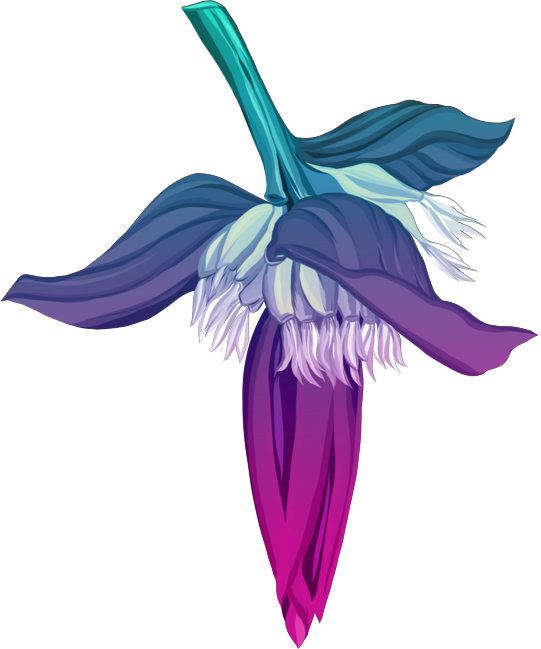 Orchidee_Niah_Caves