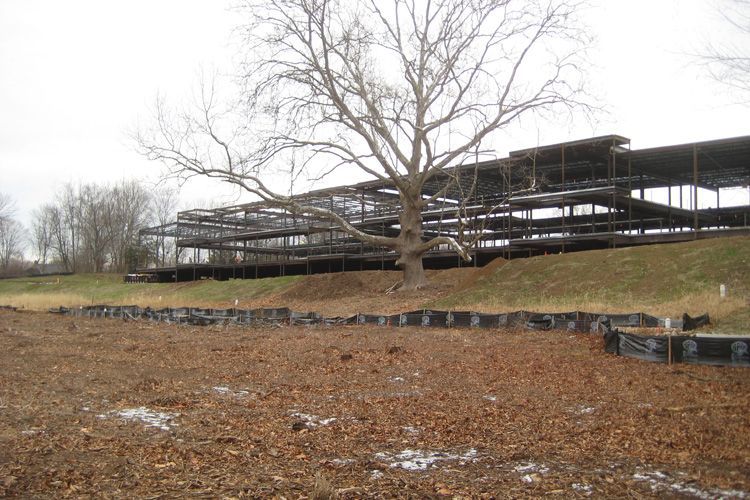 A large building under construction with a tree in the foreground