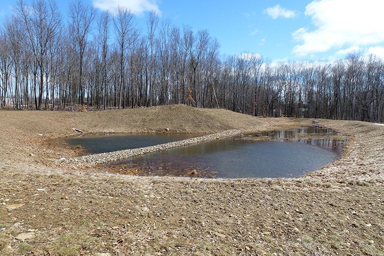 Two small ponds in a field with trees in the background