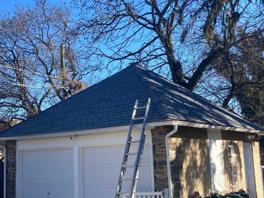 Detached garage with a dark shingled roof and a ladder leaning against it amid leafless trees