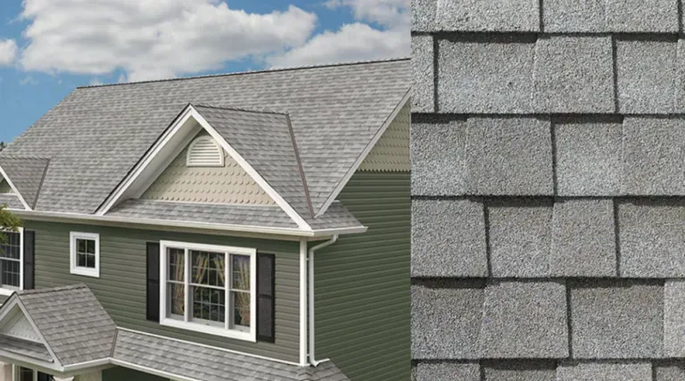Gray shingle roof on a green house, with a close-up of the asphalt shingles at right.